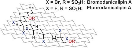 Synthesis and Biological Evaluation of Bromo- and Fluorodanicalipin A.