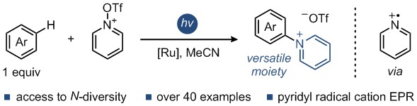 Pyridyl Radical Cation for C–H Amination of Arenes