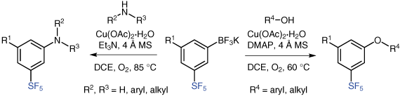 Enlarged view: Novel SF5-Anilines and SF5-Aryl Ethers from SF5-Substituted Potassium Aryl Trifluoroborates.  A. Joliton, E. M. Carreira, Synlett 2015, 26, 737