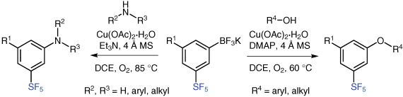 Novel SF5-Anilines and SF5-Aryl Ethers from SF5-Substituted Potassium Aryl Trifluoroborates. A. Joliton, E. M. Carreira, Synlett 2015, 26, 737