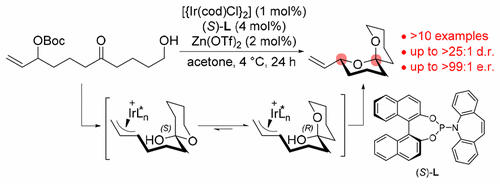 Enantio- and Diastereoselective Spiroketalization Catalyzed by Chiral Iridium Complex  J.Y. Hamilton, S.L. Rössler, E.M. Carreira, J. Am. Chem. Soc. 2017.
