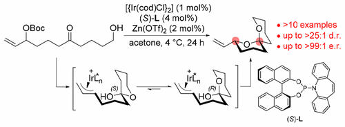 Enantio- and Diastereoselective Spiroketalization Catalyzed by Chiral Iridium Complex J.Y. Hamilton, S.L. Rössler, E.M. Carreira, J. Am. Chem. Soc. 2017.