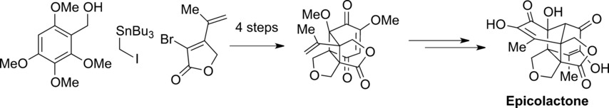 Total Synthesis of Epicolactone