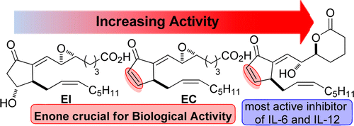 Discovery of a Highly Potent Anti-inflammatory Epoxyisoprostane-Derived Lactone. J. Egger, P. Bretscher, S. Freigang, M. Kopf, E.M. Carreira, J. Am. Chem. Soc. 2014, 136, 17382