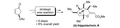 Total Synthesis of (±)-Hippolachnin A. S.A. Ruider, T. Sandmeier, E.M. Carreira, Angew. Chem. Int. Ed. 2014, 53, 2378