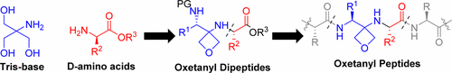 Oxetanyl Amino Acids for Peptidomimetics, Guido P. Möller, Steffen Müller, Bernd T. Wolfstädter , Susanne Wolfrum, Dirk Schepmann, Bernhard Wünsch, and Erick M. Carreira