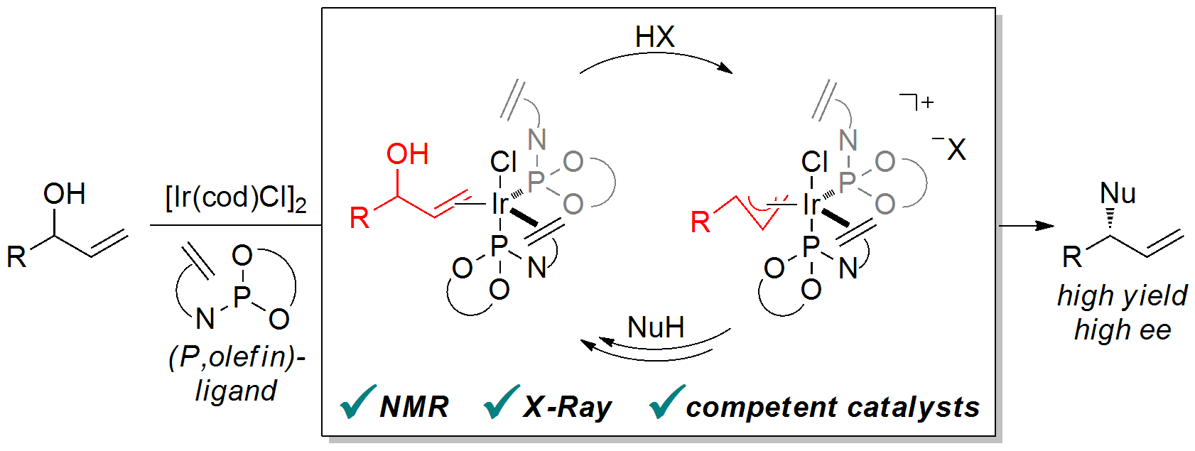 Study of Intermediates in Iridium–(Phosphoramidite,Olefin)-Catalyzed Enantioselective Allylic Substitution. S. Rössler, S. Krautwald and E. M. Carreira