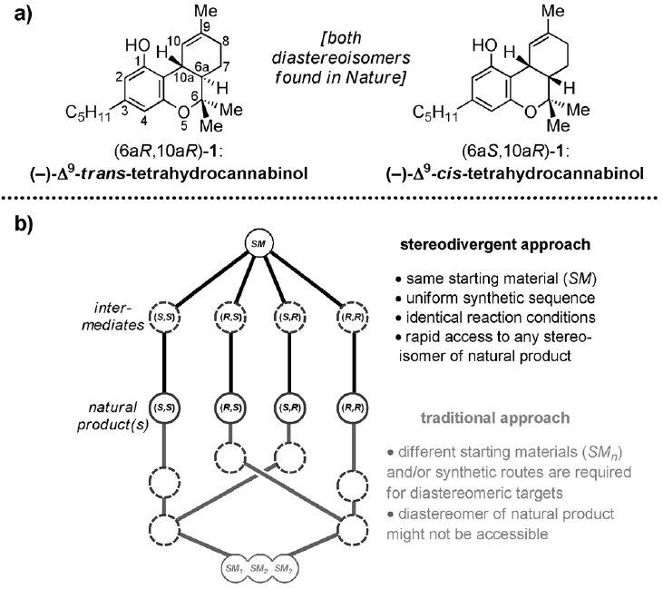 Enlarged view: Stereodivergent Total Synthesis of Δ9-Tetrahydrocannabinols.  M.A. Schafroth, G. Zuccarello, S. Krautwald, D. Sarlah, E.M. Carreira, Angew. Chem. Int. Ed. 2014, 53, 13898