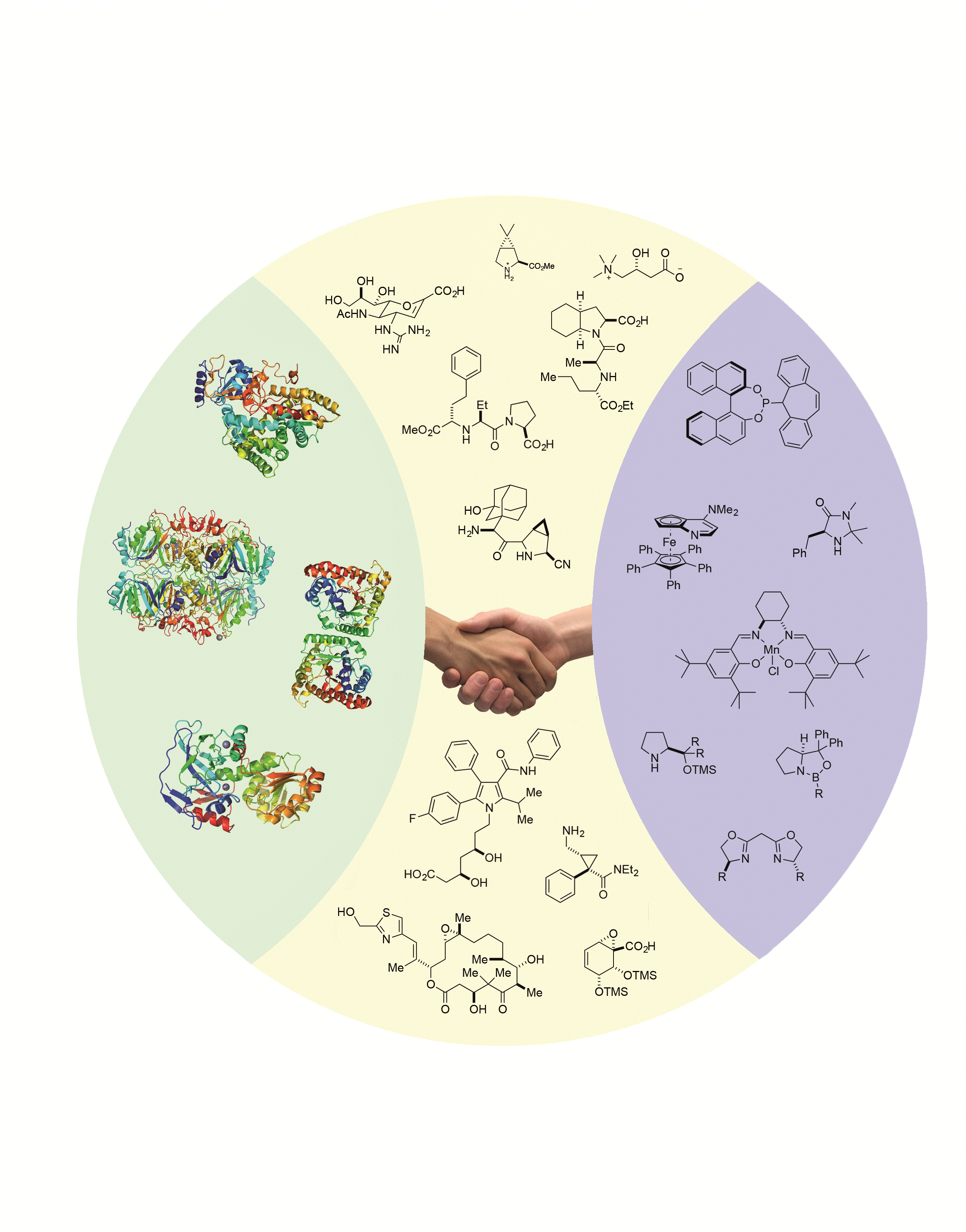Enantioselective Chemo- and Biocatalysis: Partners in Retrosynthesis. E.M. Carreira, N. Turner, M. Hönig, P. Sondermann. Angew. Chem. Int. Ed. 2017