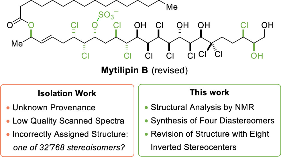 Stereochemical Revision, Total Synthesis, and Solution State Conformation of the Complex Chlorosulfolipid Mytilipin B