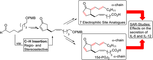Enlarged view: Total Synthesis of Prostaglandin 15d-PGJ2 and Investigation of its Effect on the Secretion of IL-6 and IL-12.  J. Egger, S. Fischer, P. Bretscher, S. Freigang, M. Kopf, E. M. Carreira, Org. Lett. 2015, 17, 4340