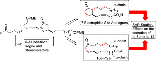 Total Synthesis of Prostaglandin 15d-PGJ2 and Investigation of its Effect on the Secretion of IL-6 and IL-12. J. Egger, S. Fischer, P. Bretscher, S. Freigang, M. Kopf, E. M. Carreira, Org. Lett. 2015, 17, 4340