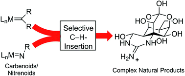 Efficient Synthesis Strategies by Application of Transition Metal-Catalyzed Carbene/Nitrene Insertions into C–H Bonds