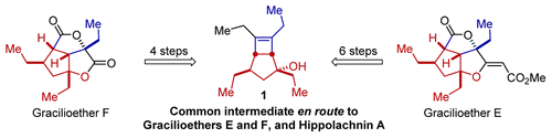 A Unified Strategy to Plakortin Pentalenes: Total Syntheses of (±)-Gracilioethers E and F. Stefan A. Ruider and Erick M. Carreira, Org. Lett. 2015, Article ASAP