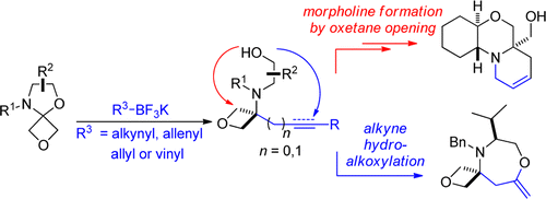 Enlarged view: Addition of Trifluoroborates Oxetanyl N,O-Acetals: Entry into Spiro and Fused Saturated Heterocycles.  P. B. Brady, E. M. Carreira, Org. Lett. 2015, 17, 3350