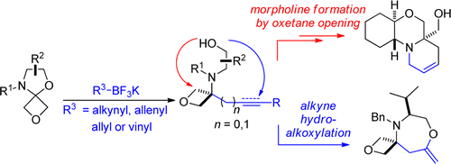 Addition of Trifluoroborates Oxetanyl N,O-Acetals: Entry into Spiro and Fused Saturated Heterocycles. P. B. Brady, E. M. Carreira, Org. Lett. 2015, 17, 3350
