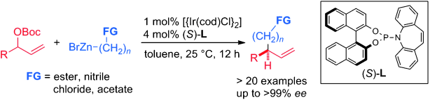 Enlarged view: Iridium-Catalyzed Enantioselective Allylic Alkylation with Functionalized Organozinc-Bromides.  J. Y. Hamilton, D. Sarlah, E. M. Carreira, Angew. Chem. Int. Ed. 2015, 54, 7644