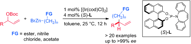 Iridium-Catalyzed Enantioselective Allylic Alkylation with Functionalized Organozinc-Bromides. J. Y. Hamilton, D. Sarlah, E. M. Carreira, Angew. Chem. Int. Ed. 2015, 54, 7644