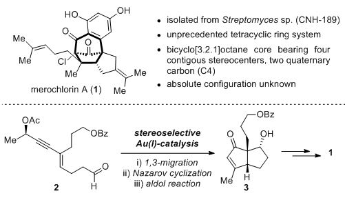 Total Synthesis of (–)‐Merochlorin A