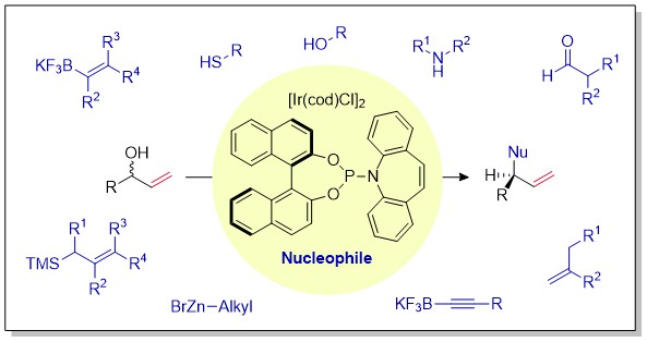 Iridium-Catalyzed Asymmetric Synthesis of Functionally Rich Molecules Enabled by (Phosphoramidite,Olefin) Ligands