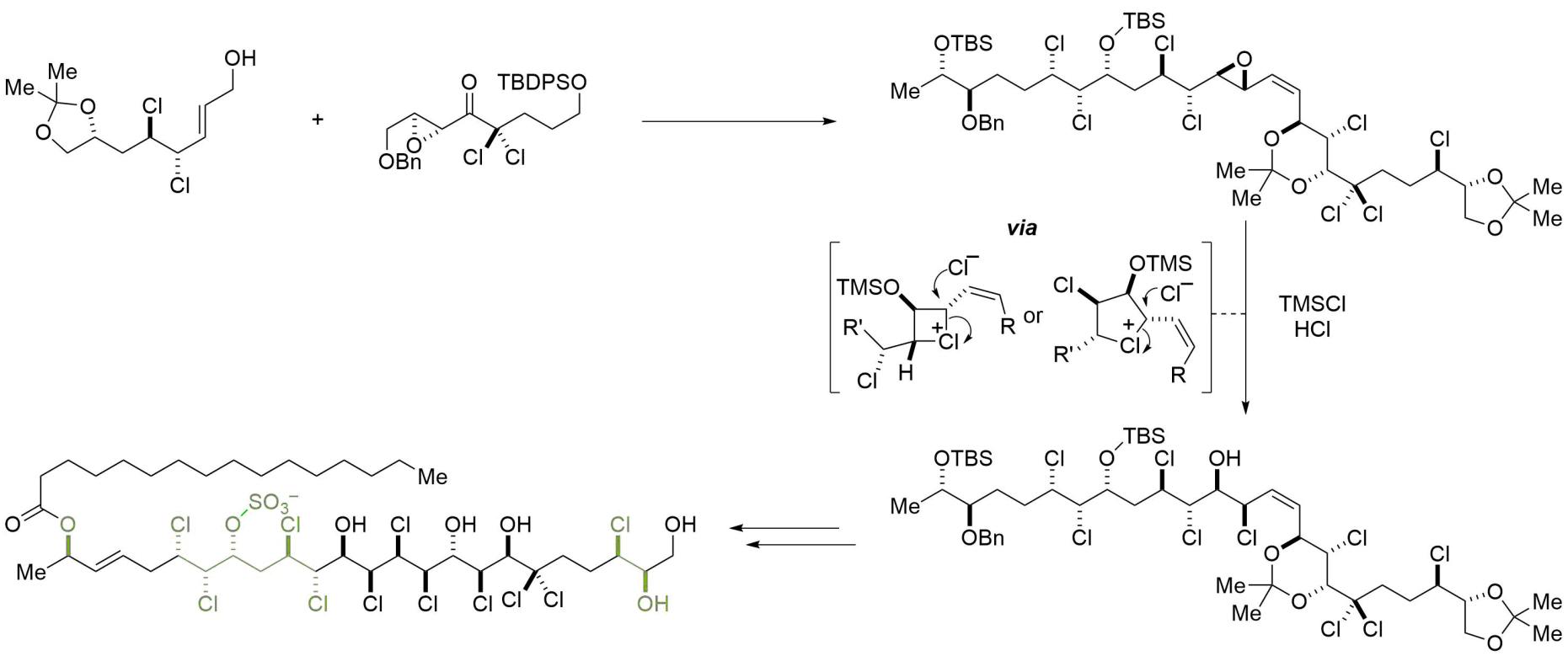 Enlarged view: Chlorosulfolipid-mytilipin-b