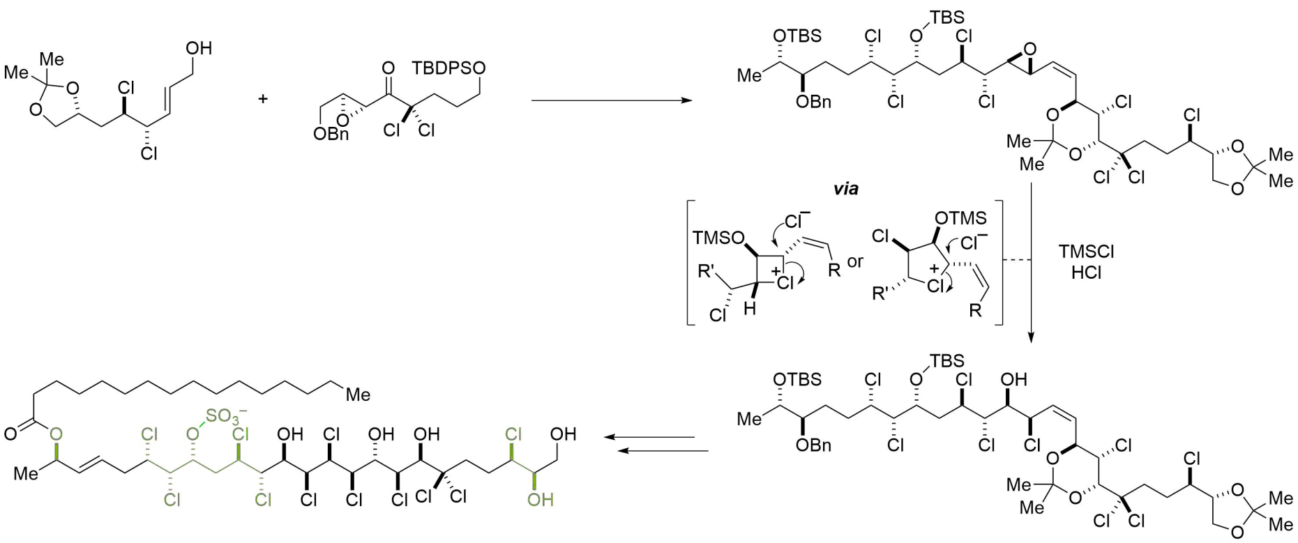 Chlorosulfolipid1